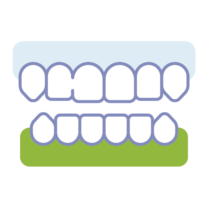 Teeth with gum icon