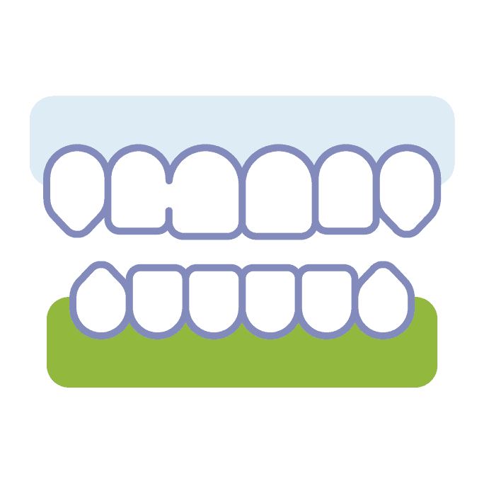 Teeth with gum icon