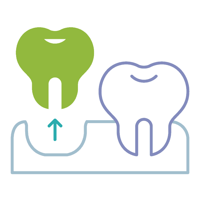 Two teeth icons with one in an upward motion